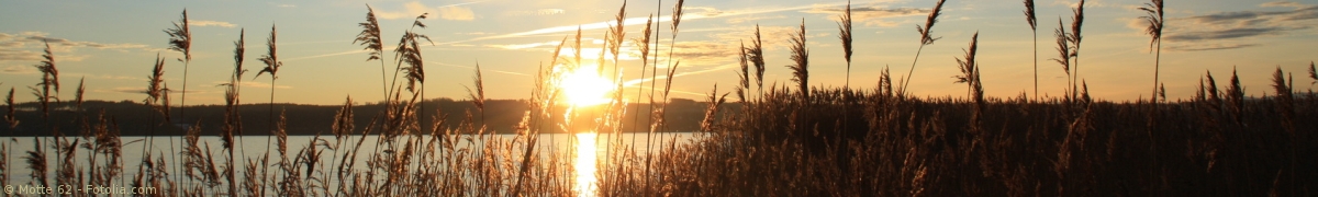 Ingrids Ferienhaus am Ammersee